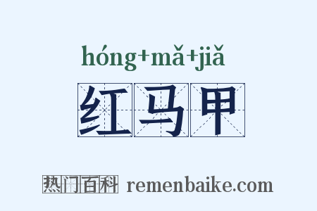 红马甲是什么意思的图片